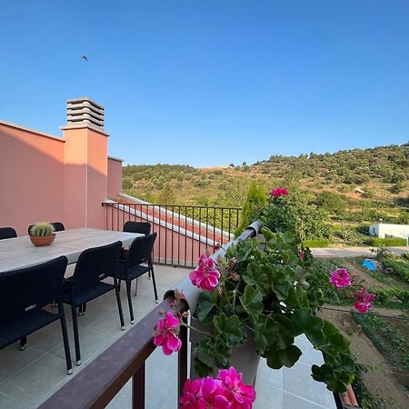 Apartamentos La Flor San Martín de Moncayo Extérieur photo