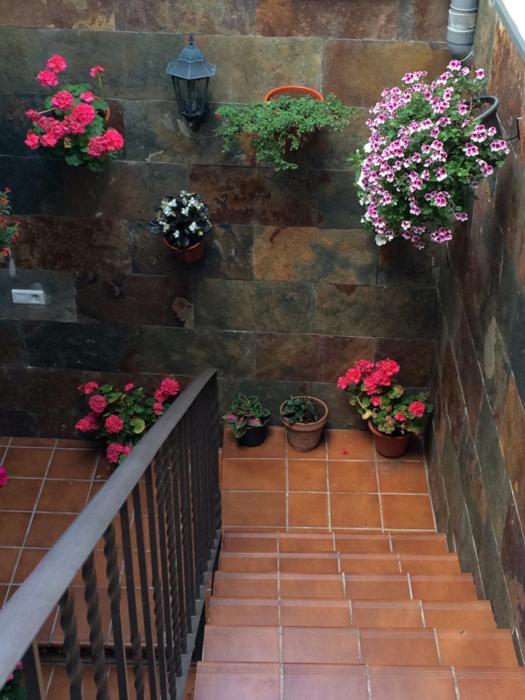 Apartamentos La Flor San Martín de Moncayo Extérieur photo