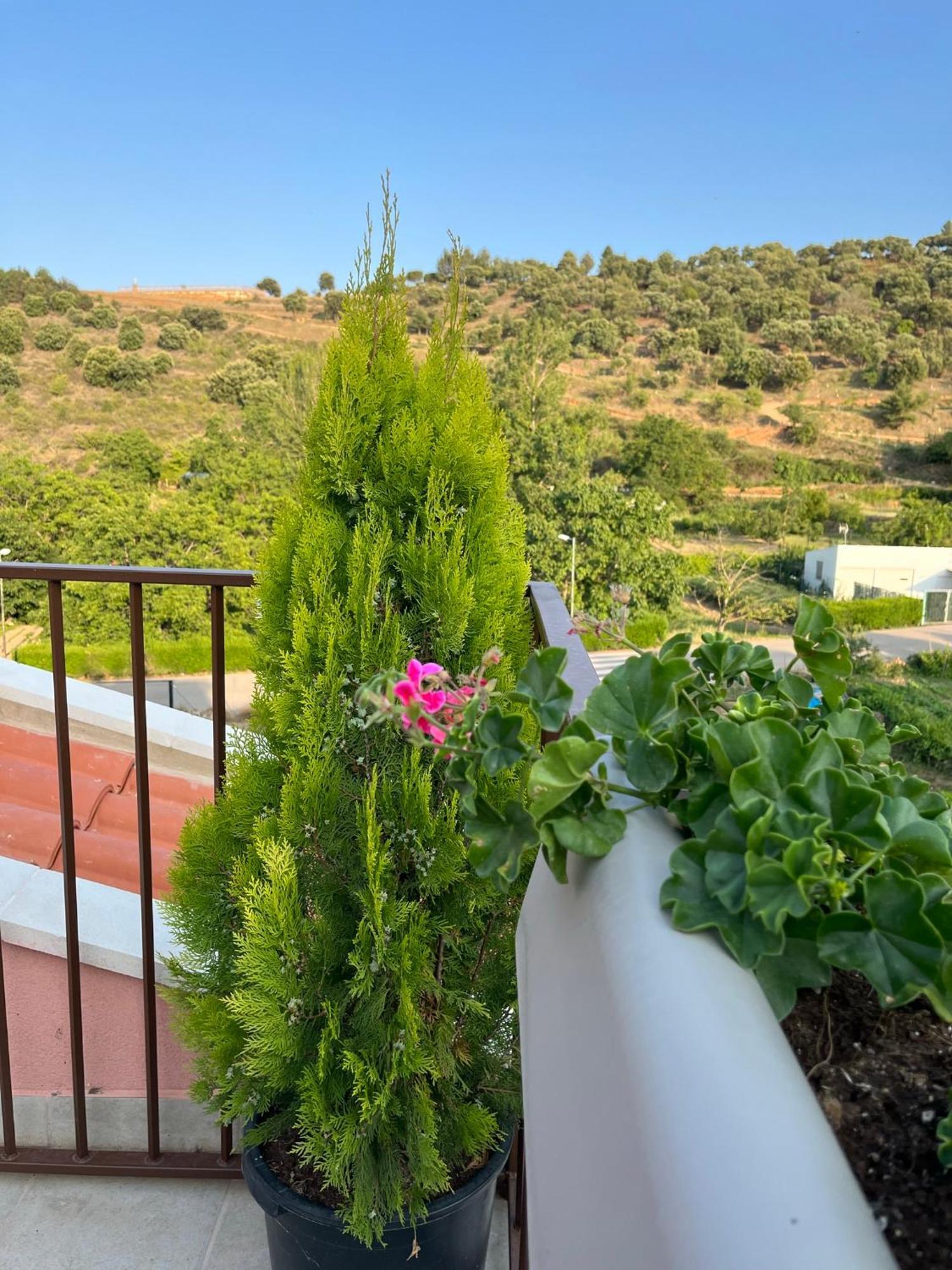 Apartamentos La Flor San Martín de Moncayo Extérieur photo